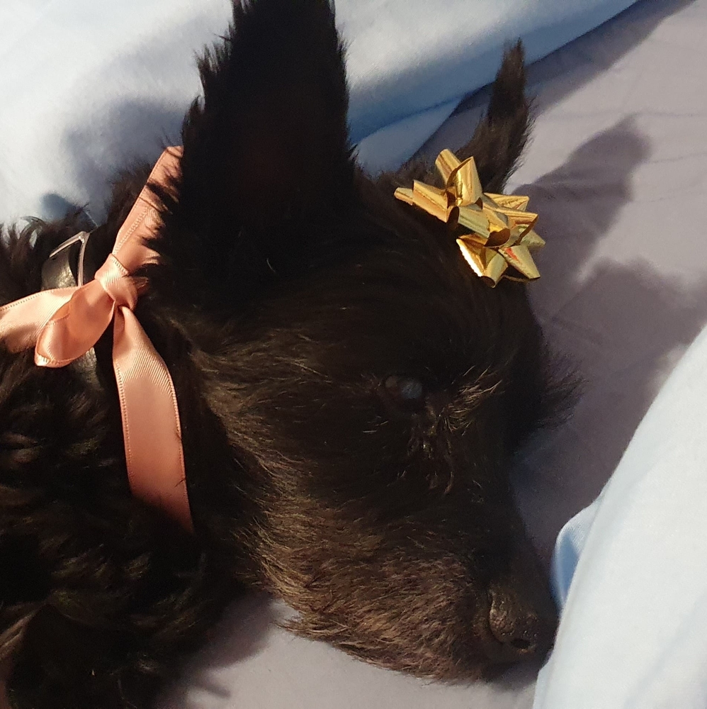 Meet your Posher, Stacey